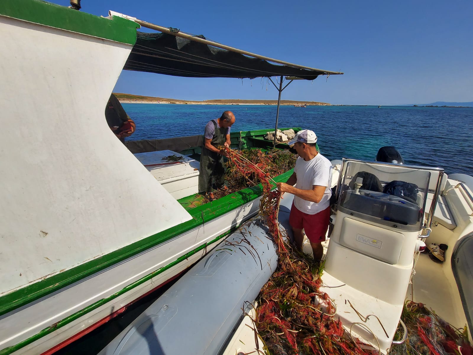 Recuperata una rete da pesca davanti all’isola di Mal di Ventre
